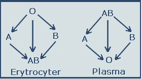 f&ouml;renlighetsprincip modell