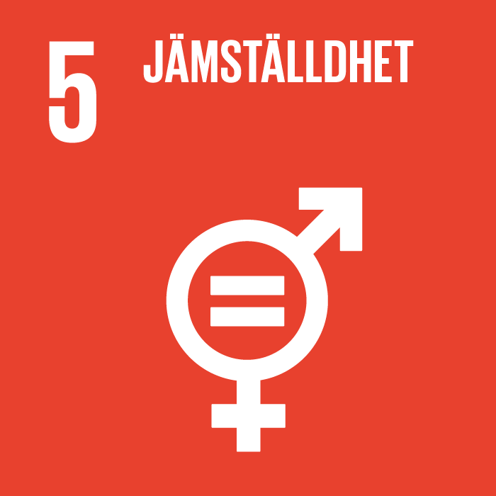 Symbol f&ouml;r m&aring;l nummer 5 j&auml;mst&auml;lldhet i Agenda2030