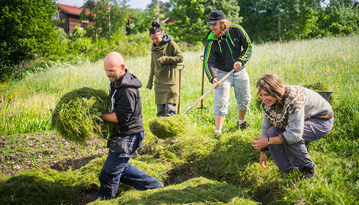 Fyra personer arbetar sl&aring;r en &auml;ng